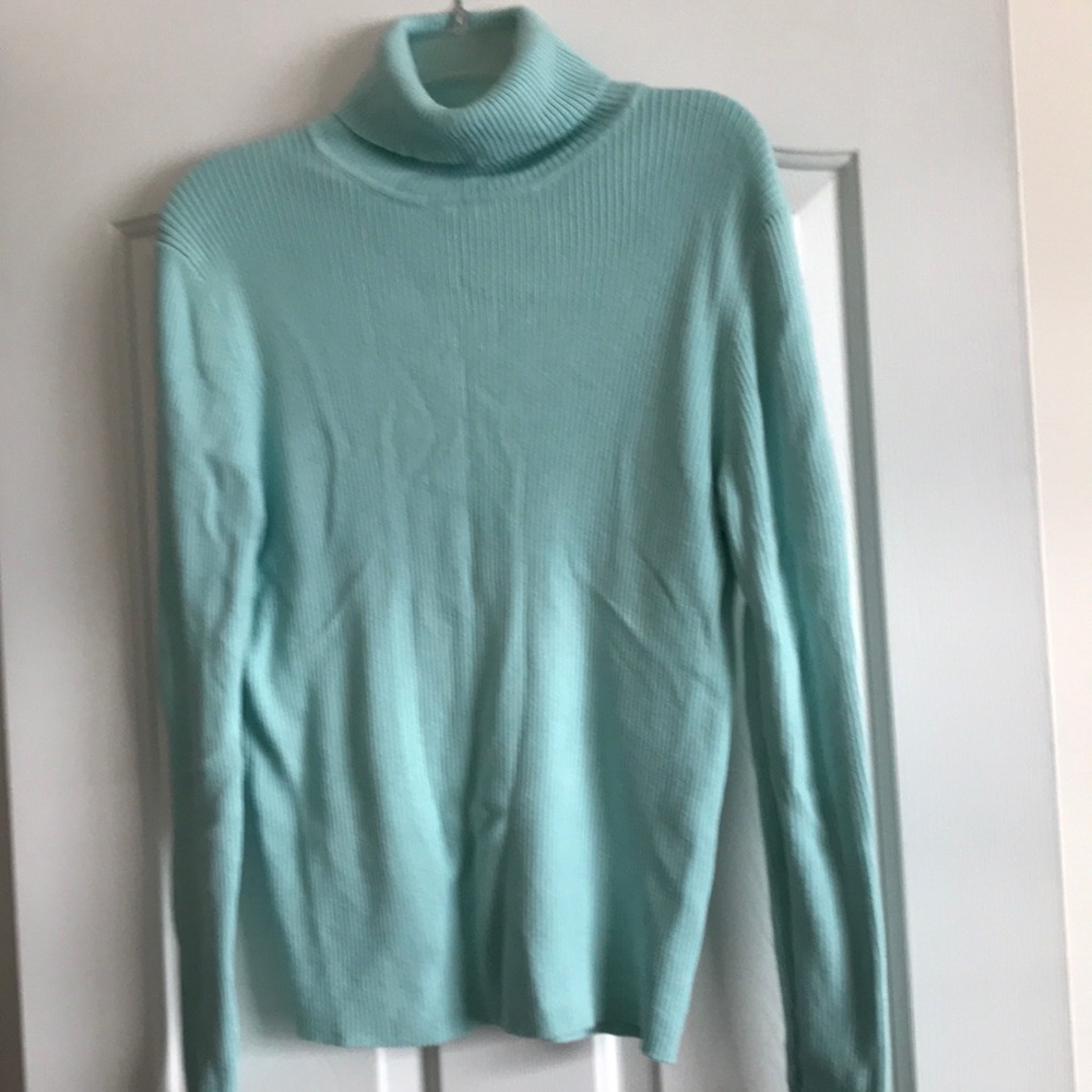 Turtle Neck Sweater